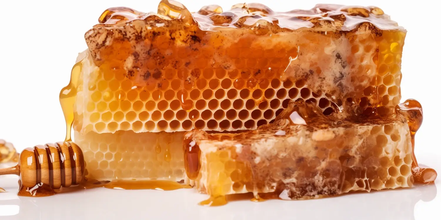 Co to jest miód pszczeli spadziowy?