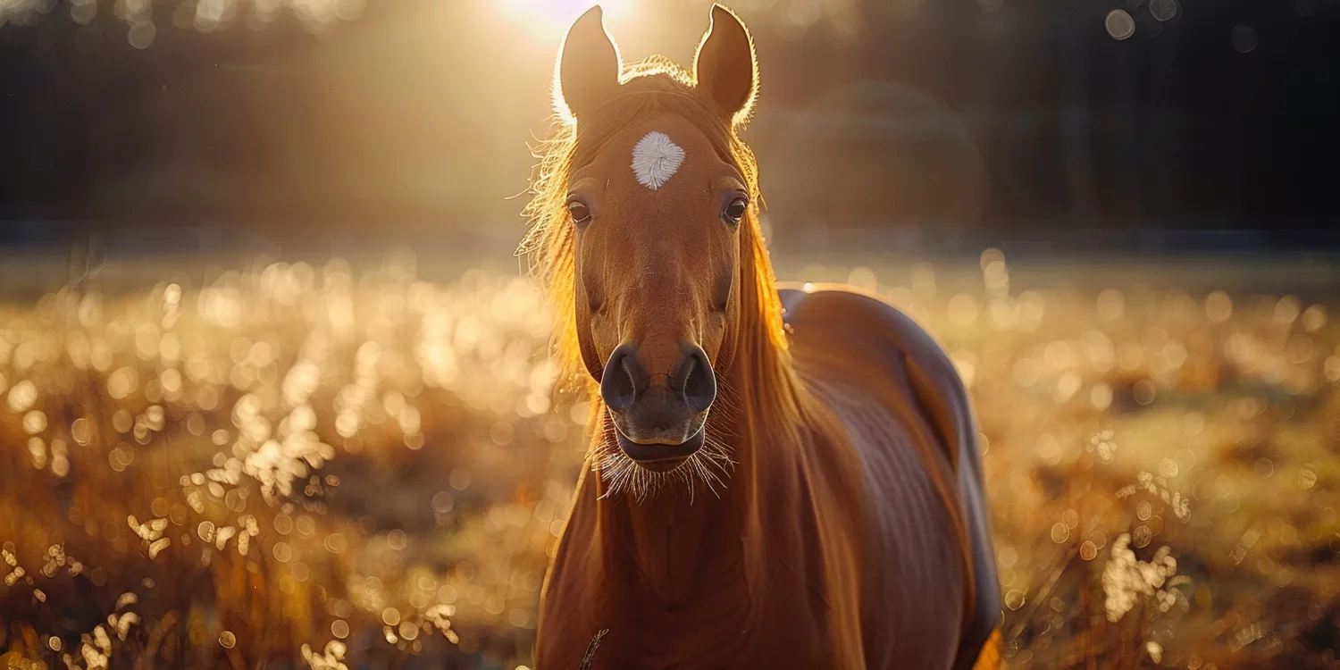 Ile czasu ukorzenia sie trawa z rolki?