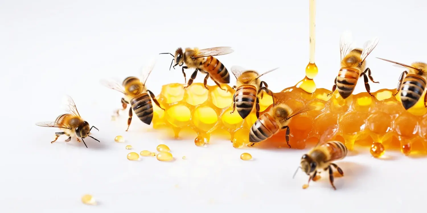 Matka pszczela w klateczce